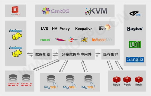 软件销售 策略、挑战与发展趋势